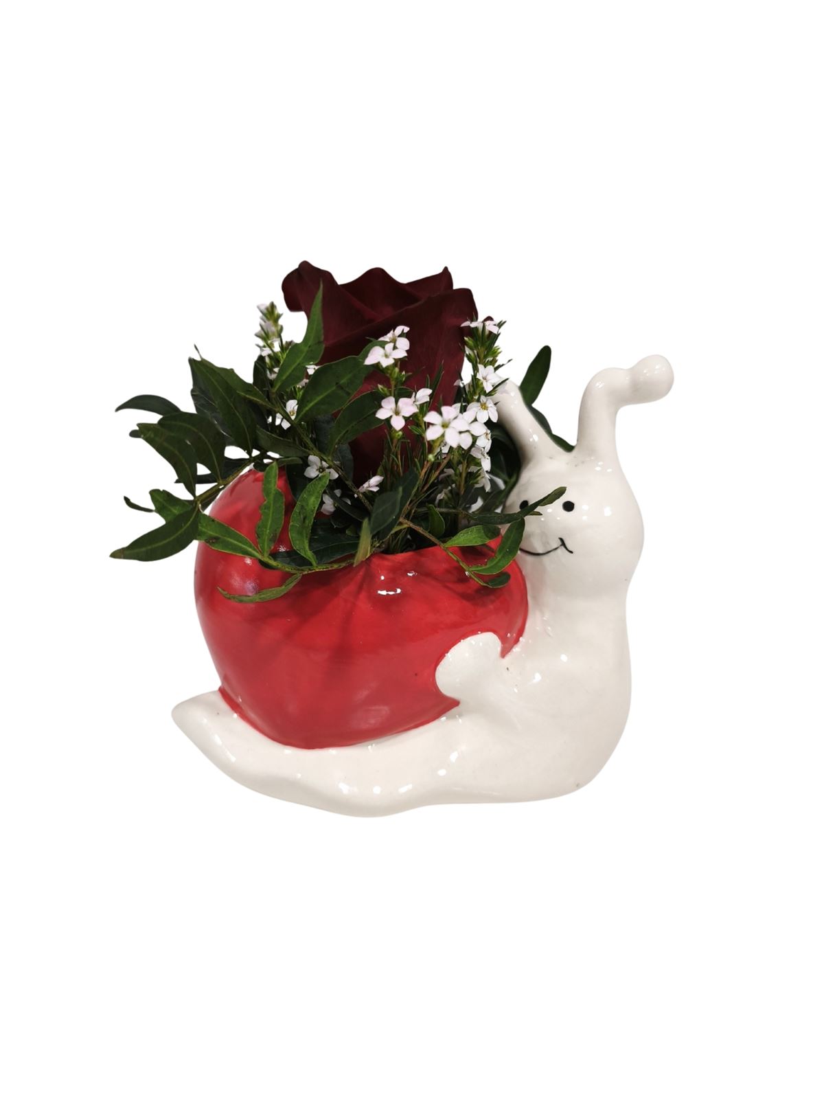 CARACOL CORAZON - Imagen 1