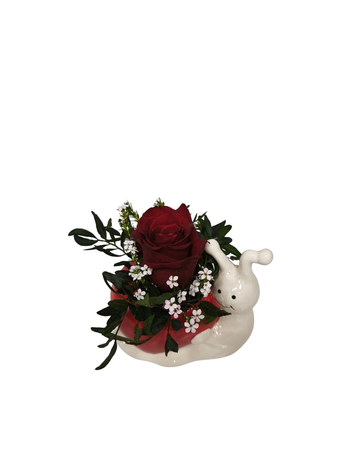 CARACOL CORAZON - Imagen 2