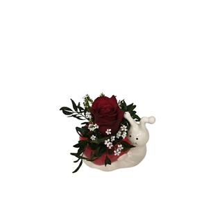 CARACOL CORAZON - Imagen 2