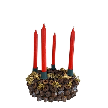 CENTRO FRUTOS DE EUCALIPTO - Imagen 1