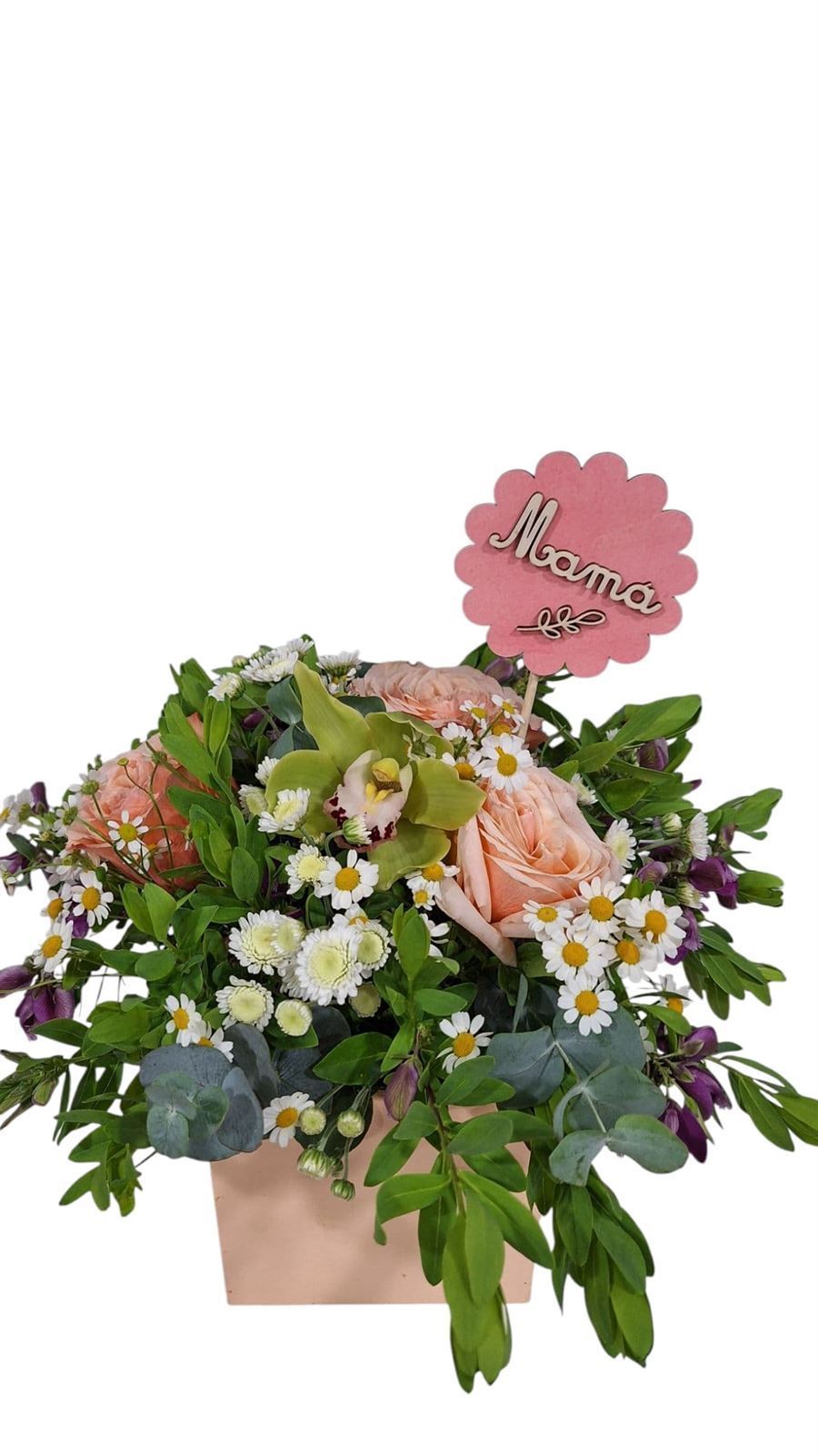 CENTRO PRIMAVERA - Imagen 7