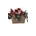 CESTO BOLSO - Imagen 1