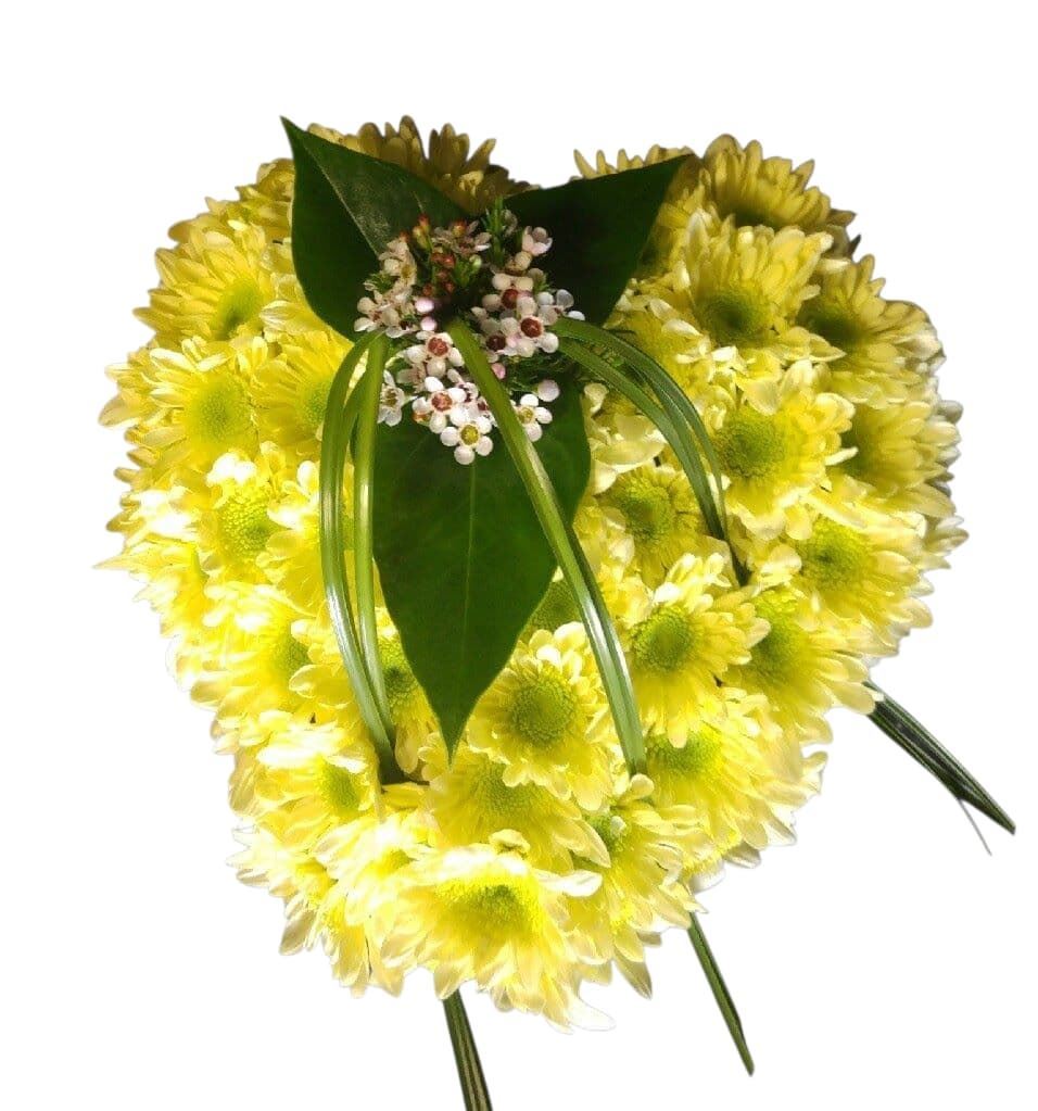 CORAZÓN - Imagen 1
