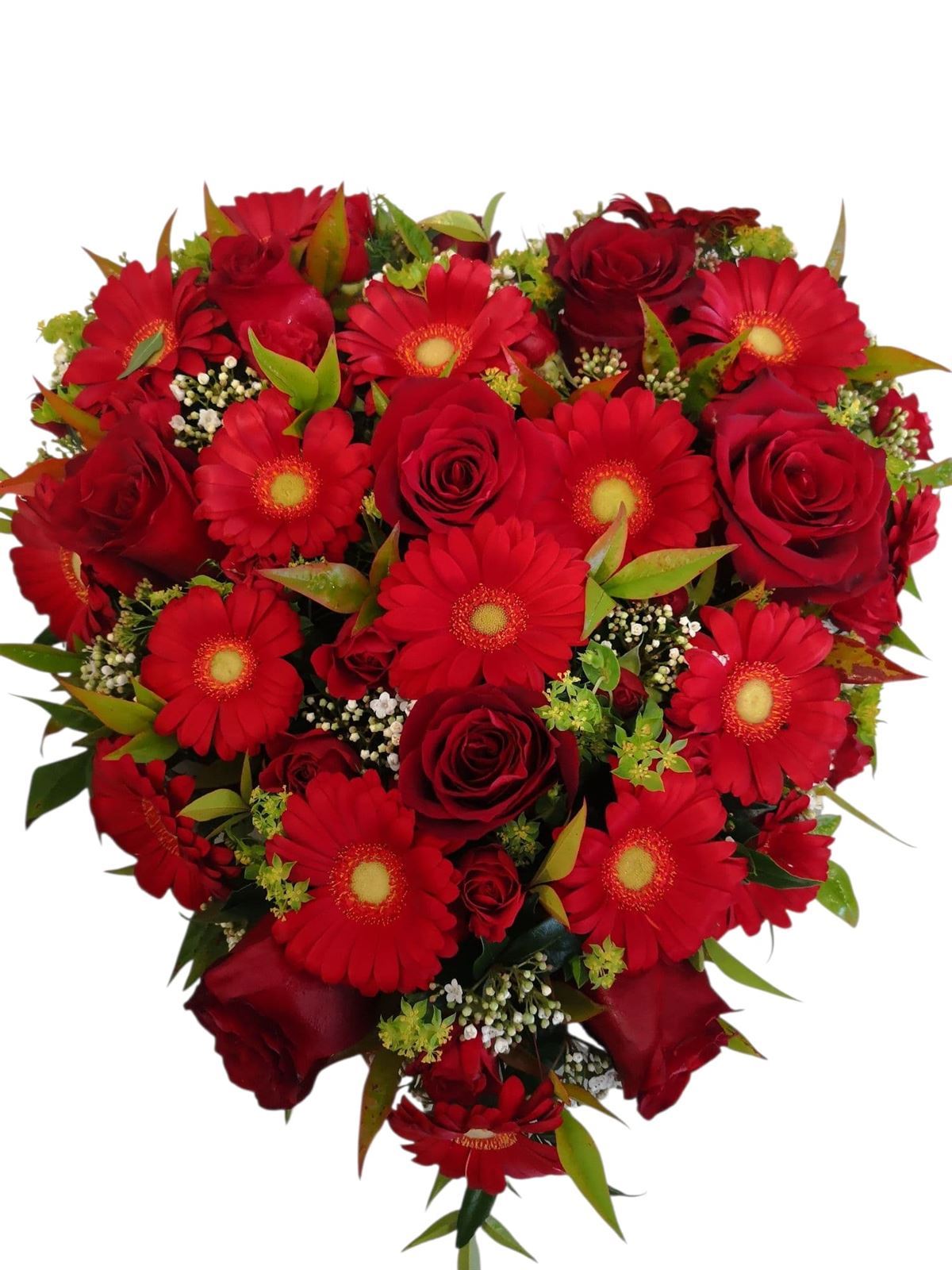 CORAZÓN - Imagen 5