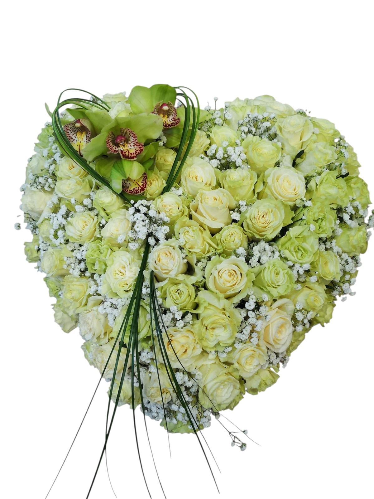 CORAZÓN - Imagen 6
