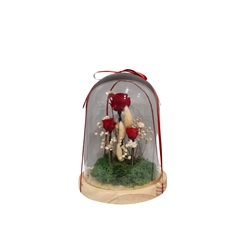 CUPULA 3 ROSAS MEDIANA - Imagen 1