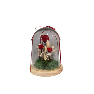 CUPULA 3 ROSAS MEDIANA - Imagen 1