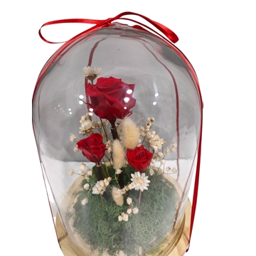 CUPULA 3 ROSAS MEDIANA - Imagen 2