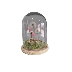 CUPULA DE LOS DESEOS - Imagen 1