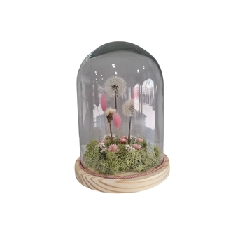 CUPULA DE LOS DESEOS - Imagen 1