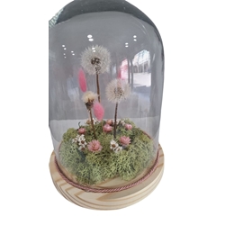 CUPULA DE LOS DESEOS - Imagen 2