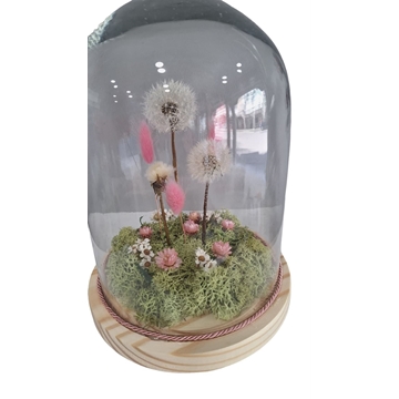 CUPULA DE LOS DESEOS - Imagen 2