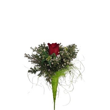 CUQUI CONO - Imagen 2