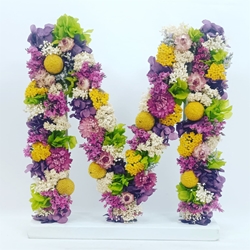 INICIAL SECO PRESERVADO - Imagen 1