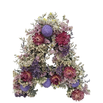 INICIAL SECO - Imagen 1