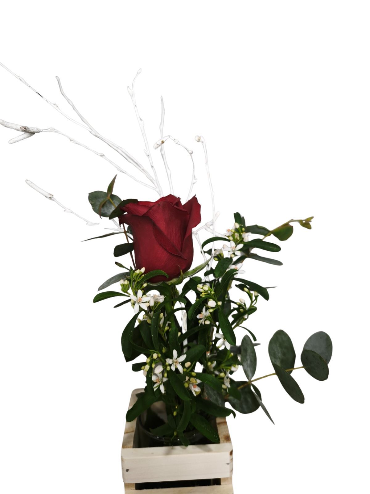 JARRON ROSA - Imagen 5