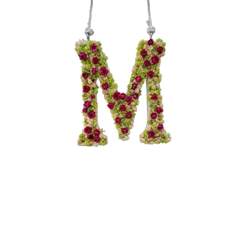 MARCO INICIAL - Imagen 2