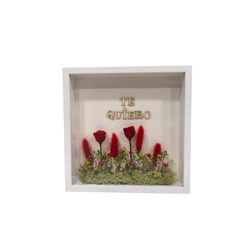 MARCO TE QUIERO - Imagen 2