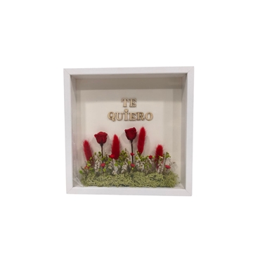 MARCO TE QUIERO - Imagen 2