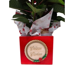 POINSETIA CAJA NAVIDAD - Imagen 2