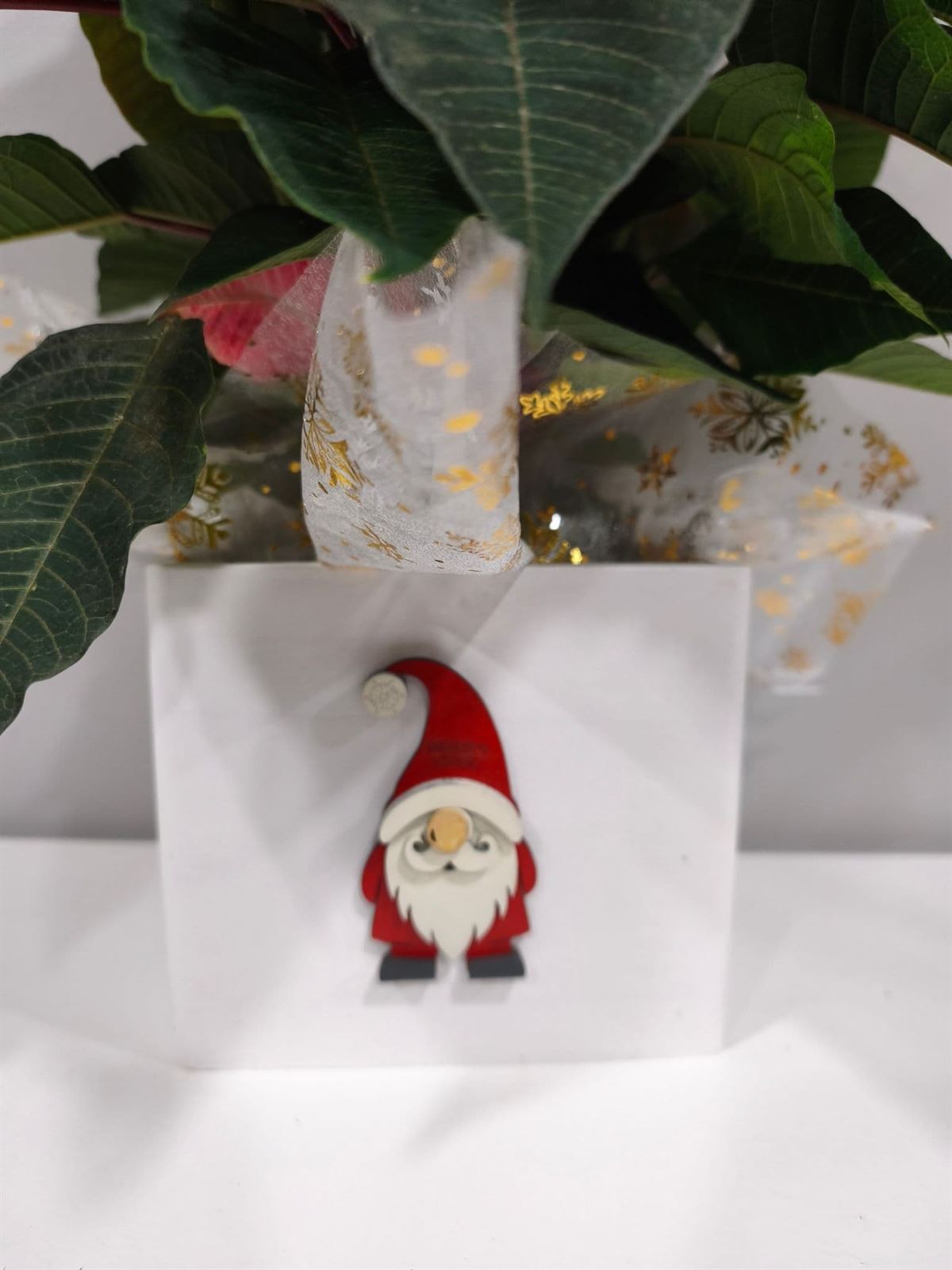 POINSETIA CAJA NAVIDAD - Imagen 3