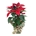 POINSETIA PAPEL - Imagen 2