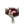 RAMO MARGARITAS Y ROSAS - Imagen 1