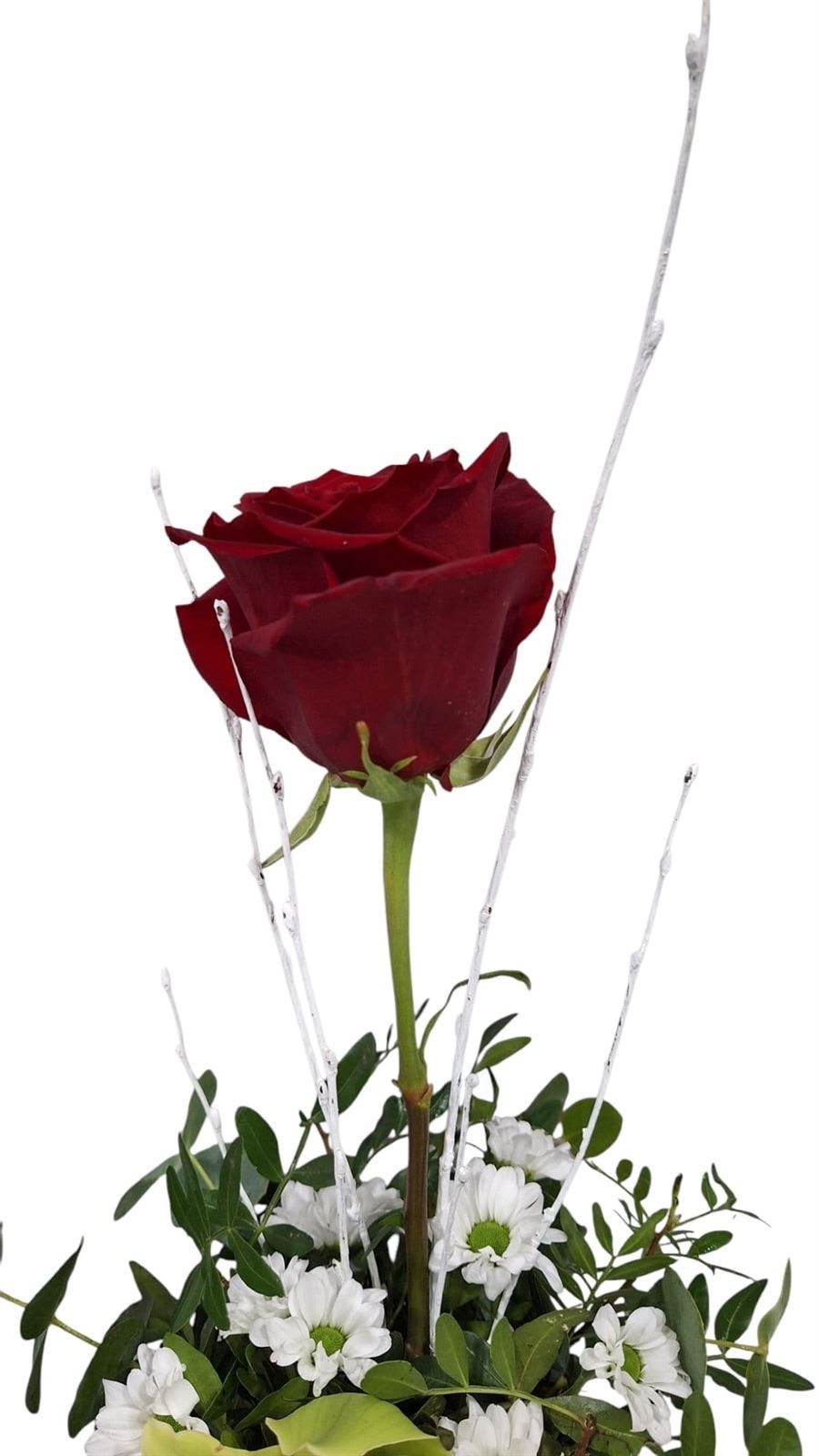 TAZA DE FLORES - Imagen 3