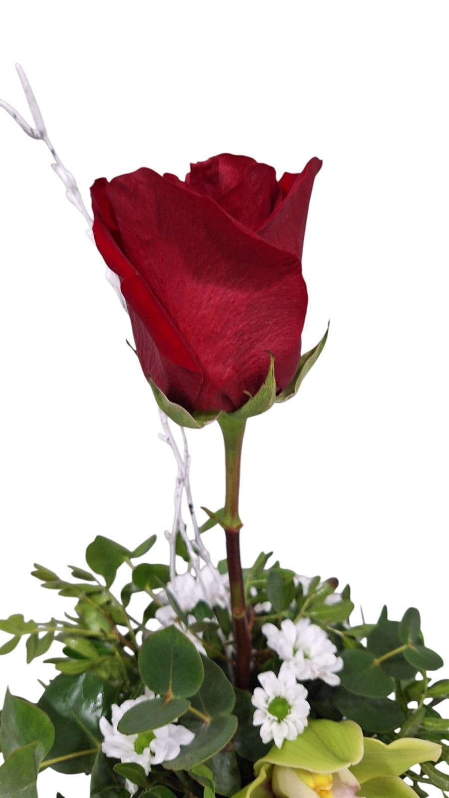 TAZA DE FLORES - Imagen 4